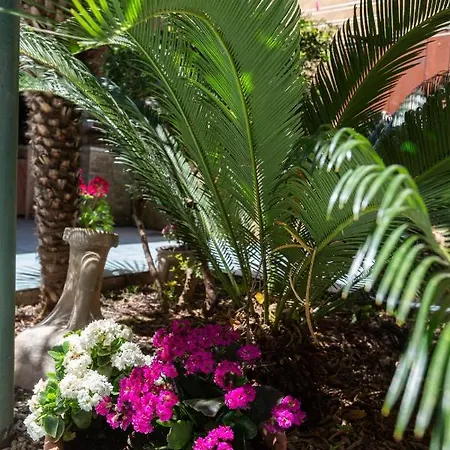 Lejlighed Confortevole Provenzale *